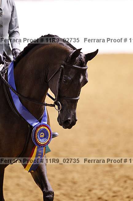 Proof 11r9_02735