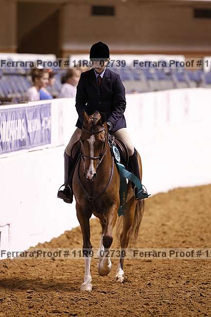 Proof 11r9_02739