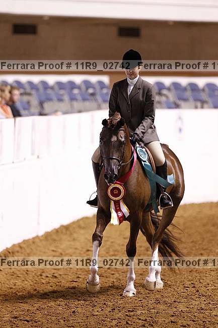 Proof 11r9_02742