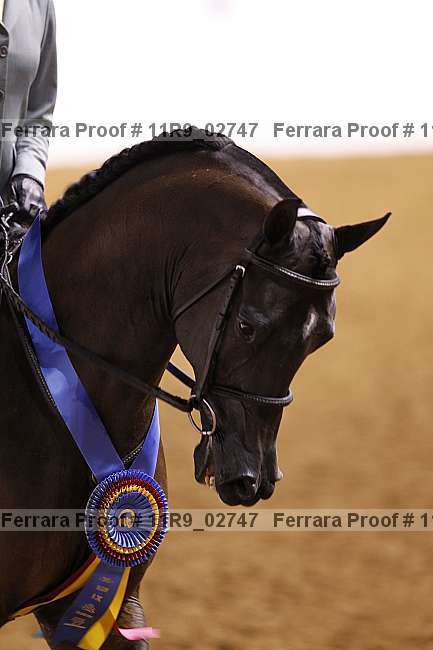 Proof 11r9_02747