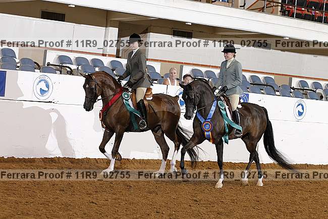 Proof 11r9_02755