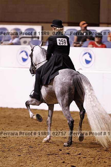 Proof 11r9_02757