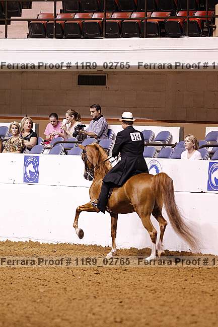 Proof 11r9_02765