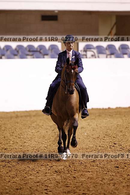 Proof 11r9_02770