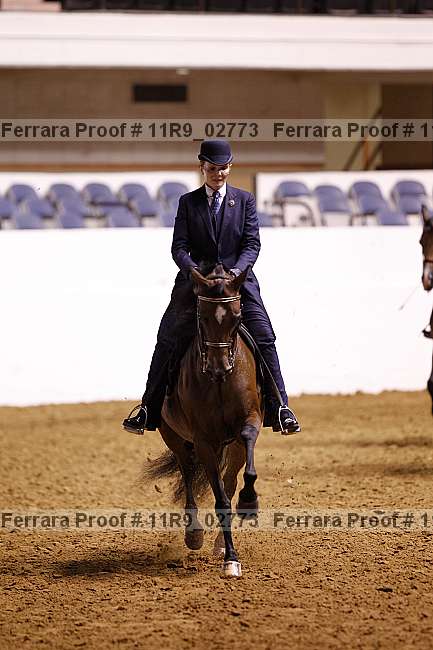 Proof 11r9_02773