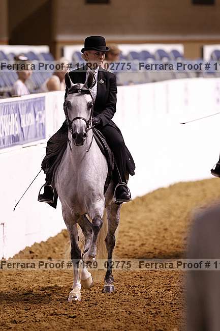 Proof 11r9_02775