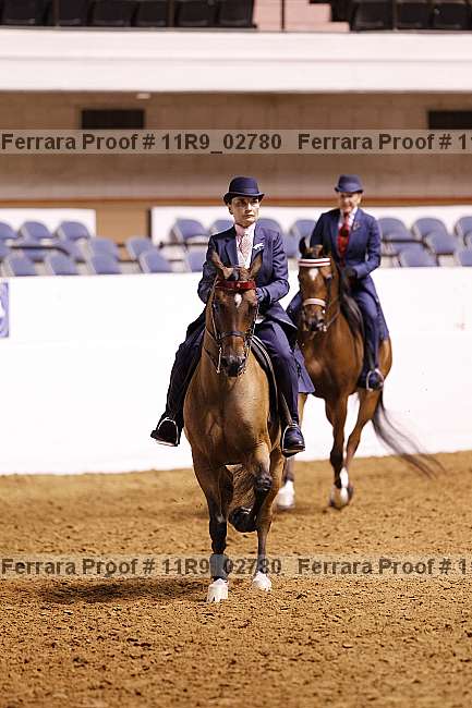 Proof 11r9_02780