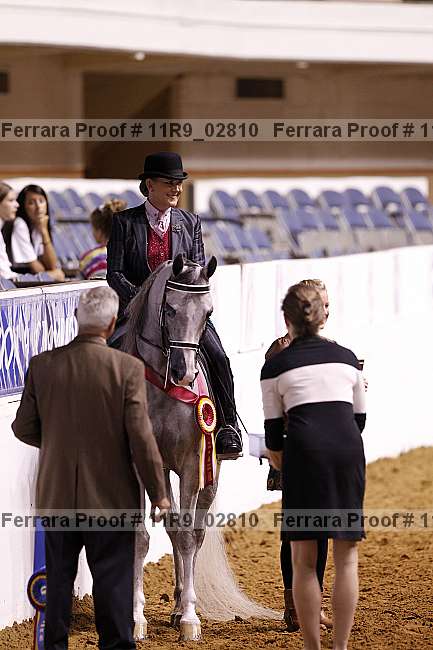 Proof 11r9_02810