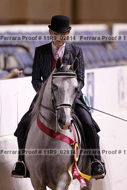 Proof 11r9_02814