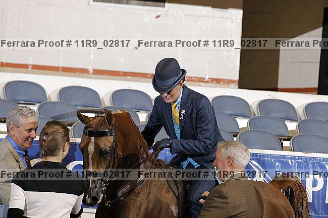 Proof 11r9_02817