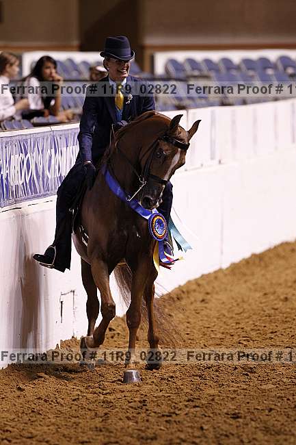 Proof 11r9_02822