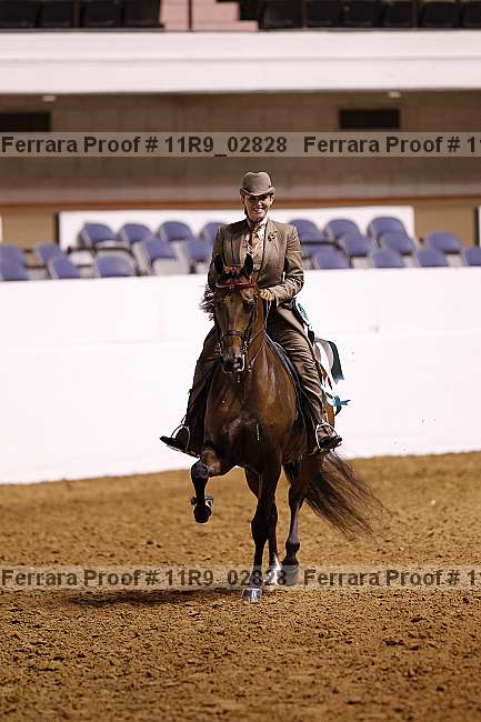 Proof 11r9_02828