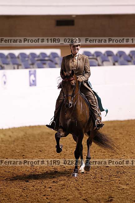 Proof 11r9_02829
