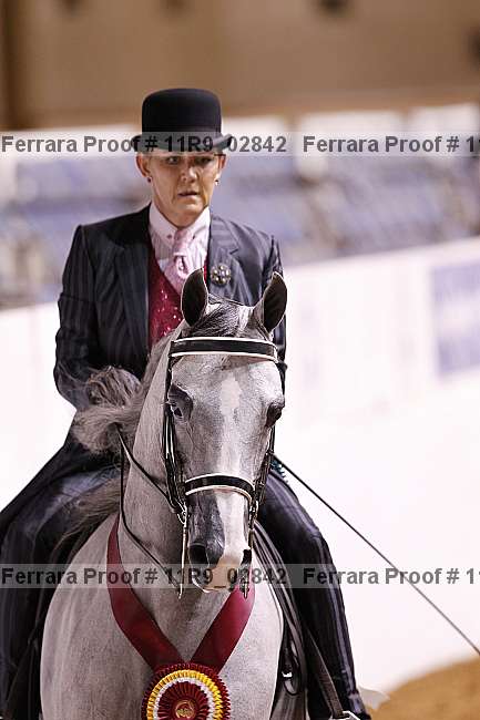 Proof 11r9_02842