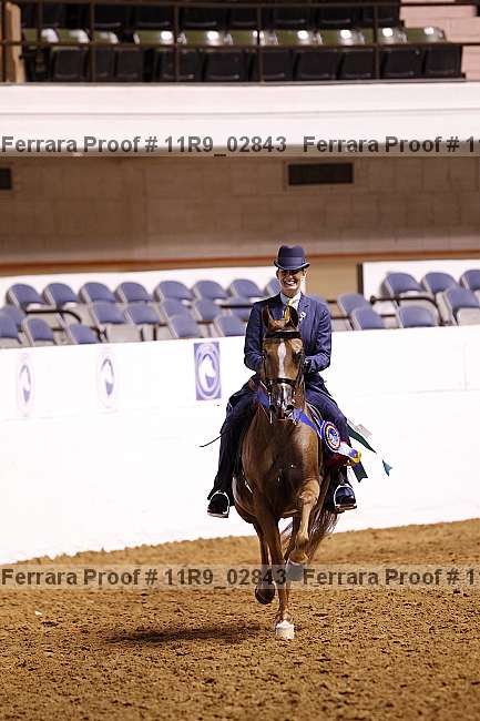 Proof 11r9_02843