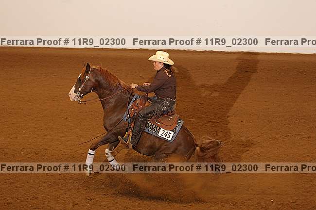 Proof 11r9_02300