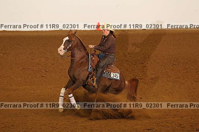 Proof 11r9_02301