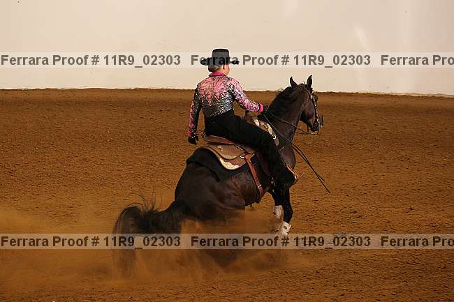 Proof 11r9_02303