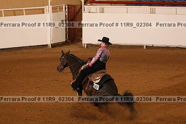 Proof 11r9_02304