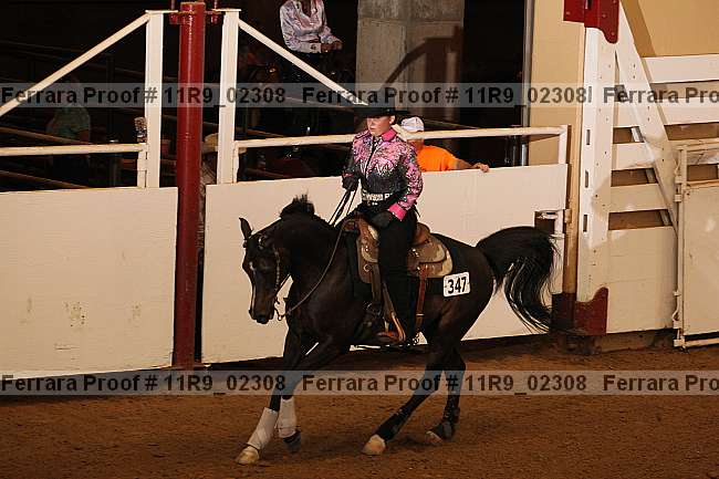 Proof 11r9_02308