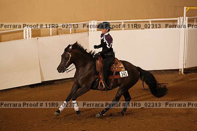 Proof 11r9_02313