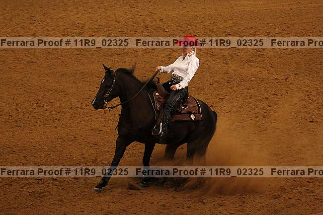 Proof 11r9_02325