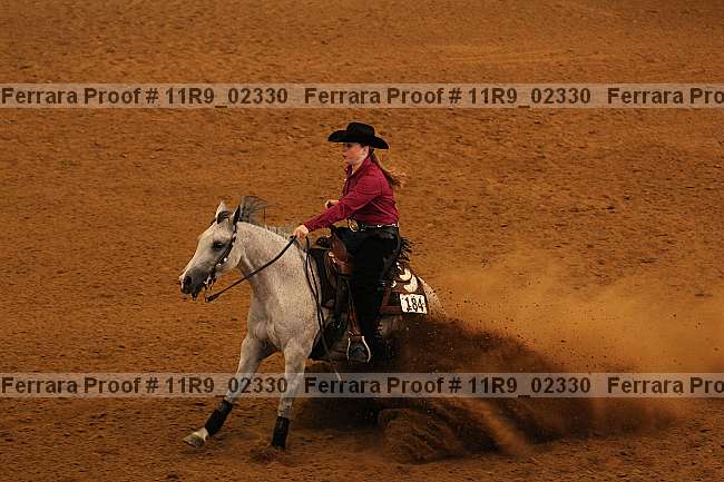 Proof 11r9_02330