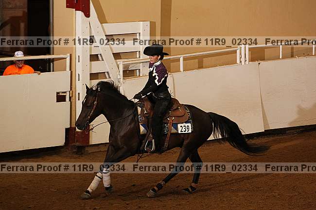 Proof 11r9_02334