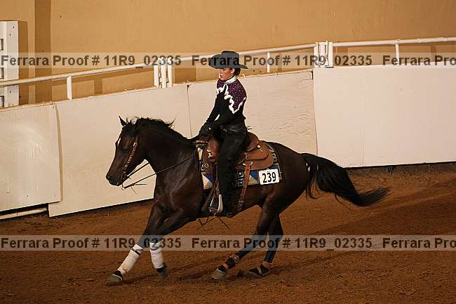 Proof 11r9_02335