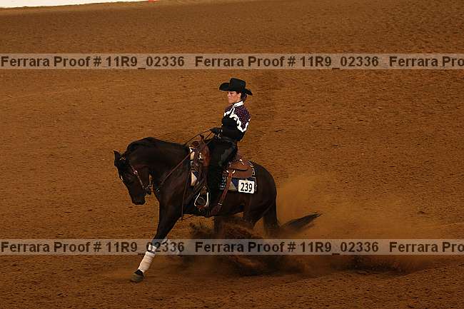 Proof 11r9_02336