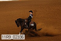 11r9_02336 proof