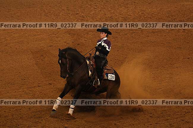 Proof 11r9_02337