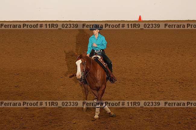 Proof 11r9_02339