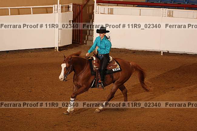 Proof 11r9_02340