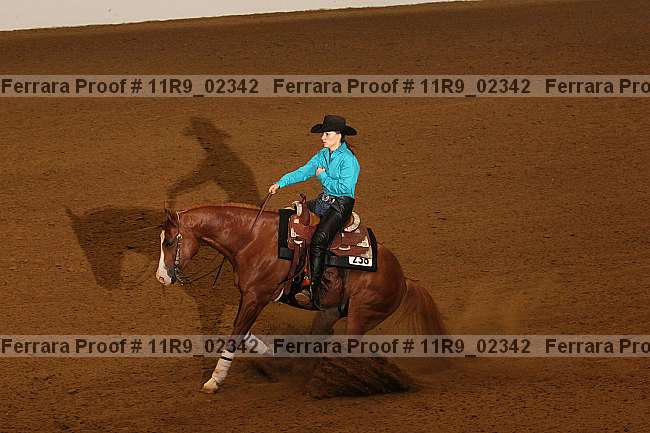 Proof 11r9_02342