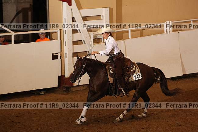 Proof 11r9_02344