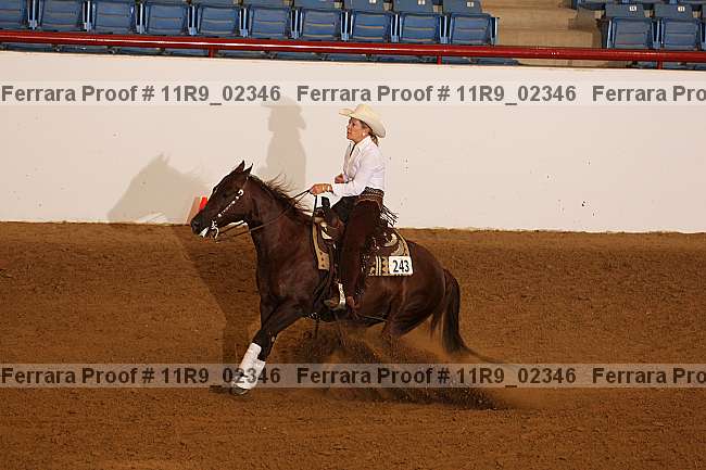 Proof 11r9_02346