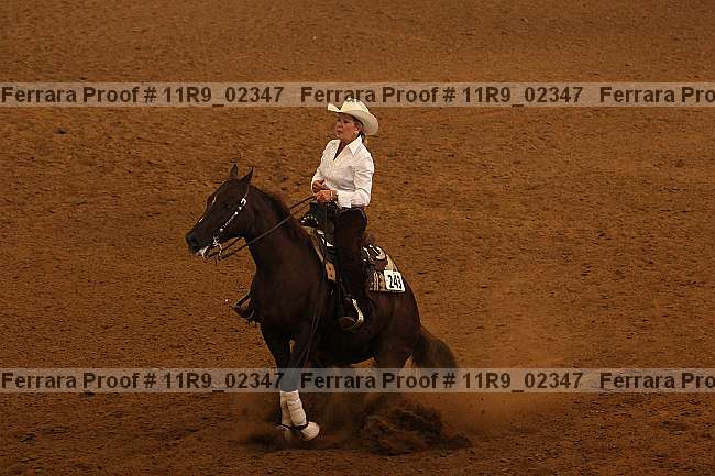 Proof 11r9_02347
