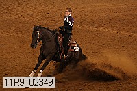11r9_02349 proof