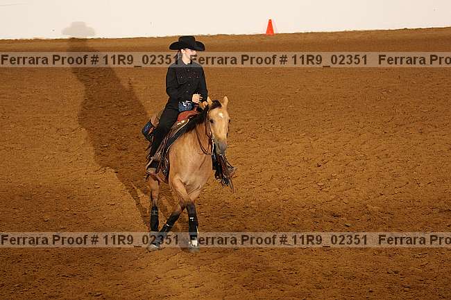 Proof 11r9_02351