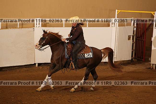 Proof 11r9_02363