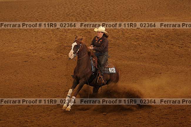 Proof 11r9_02364