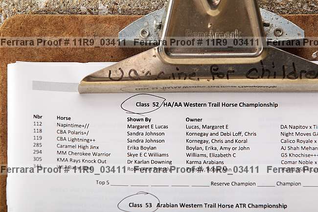 Proof 11r9_03411