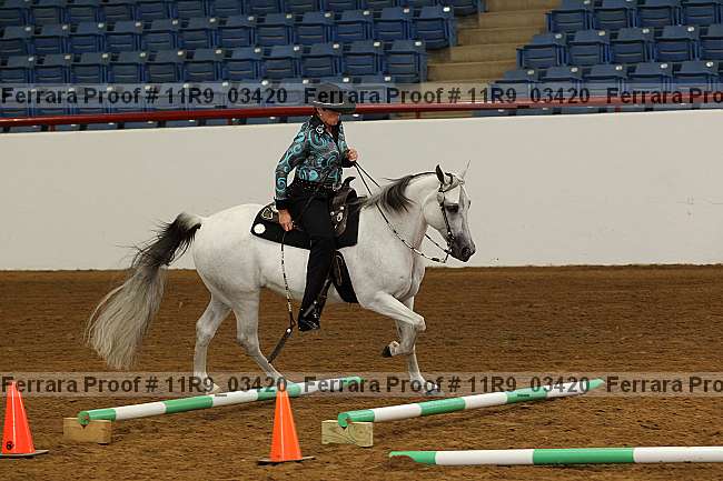 Proof 11r9_03420