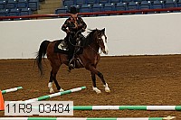 11r9_03484 proof