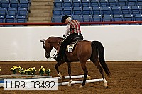 11r9_03492 proof