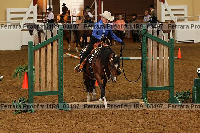Proof 11r9_03497