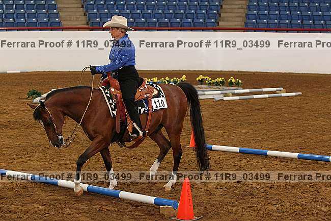 Proof 11r9_03499