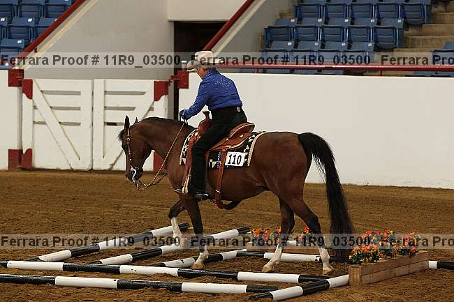 Proof 11r9_03500