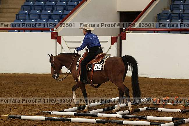 Proof 11r9_03501